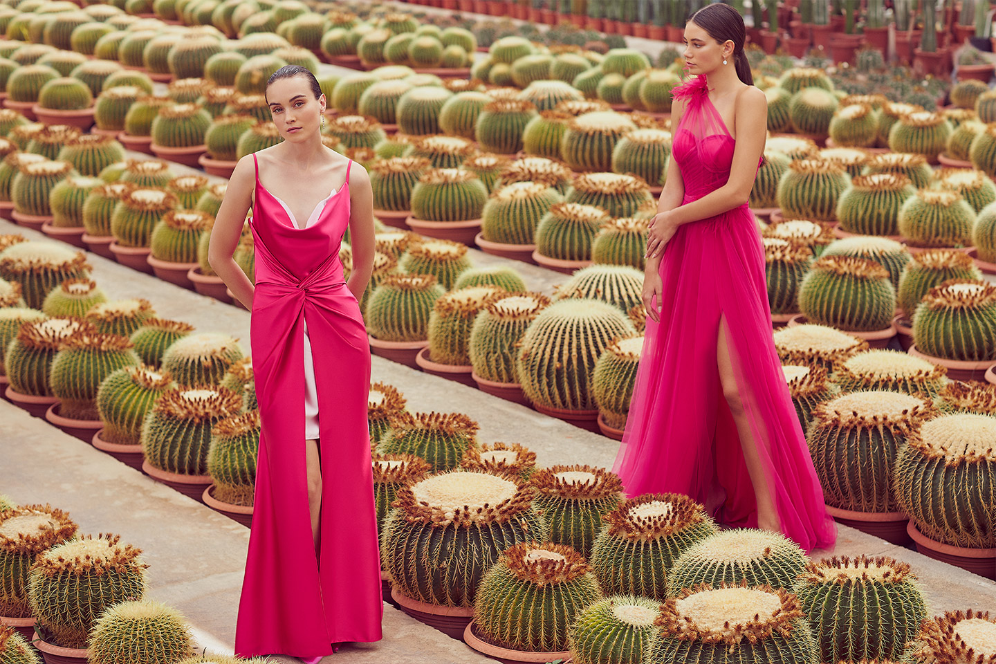 Evening dresses for your unforgettable style.